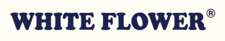 white-flower-logo